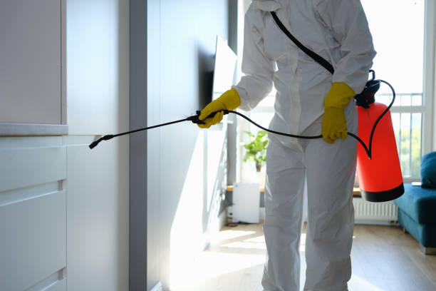 Best Mold Remediation Experts  in Roanoke, TX