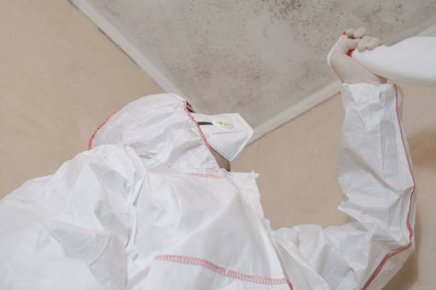 Best Local Mold Removal Service  in Roanoke, TX